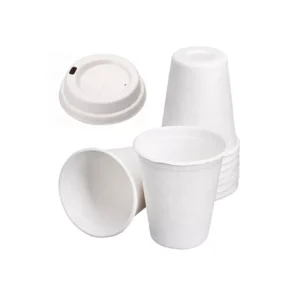 Sugarcane Cups