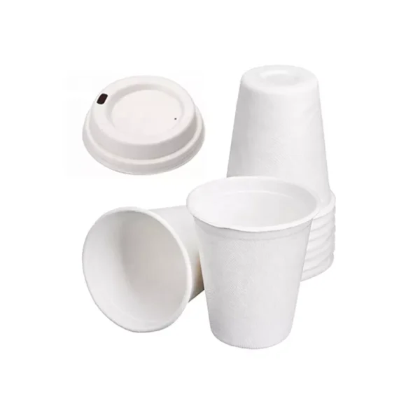 8oz 12oz 16oz Compostable Bagasse Coffee Cups