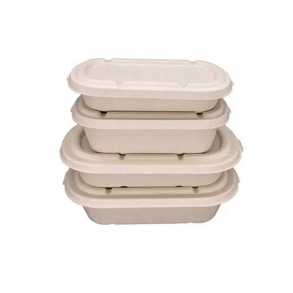 500ML 700ML 850ML 1000ML Compostable Bagasse Bento Box with Lid