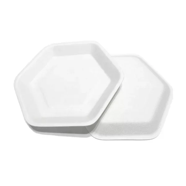 100% Biodegradable Hexagon Bagasse Dishes for Cake