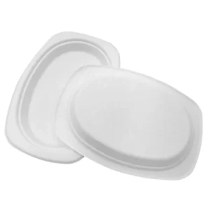 Bagasse Tray