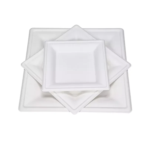 6" 8" 10" Square Compostable Bagasse Wedding Plates